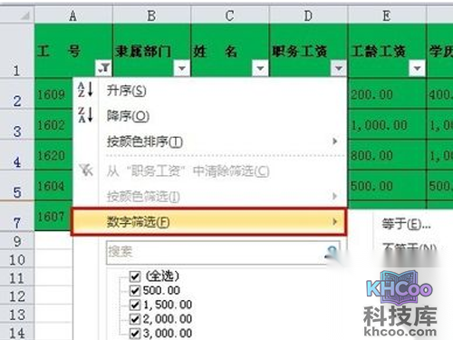 Excel中筛选功能使用方法/自定义筛选步骤1