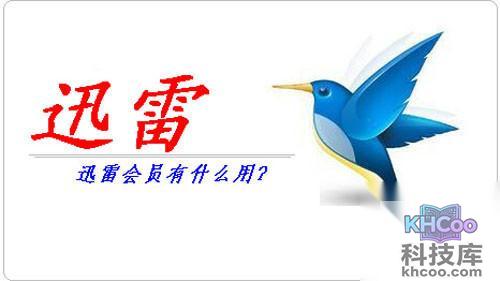 迅雷会员账号有什么用