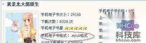 iBook支持什么格式