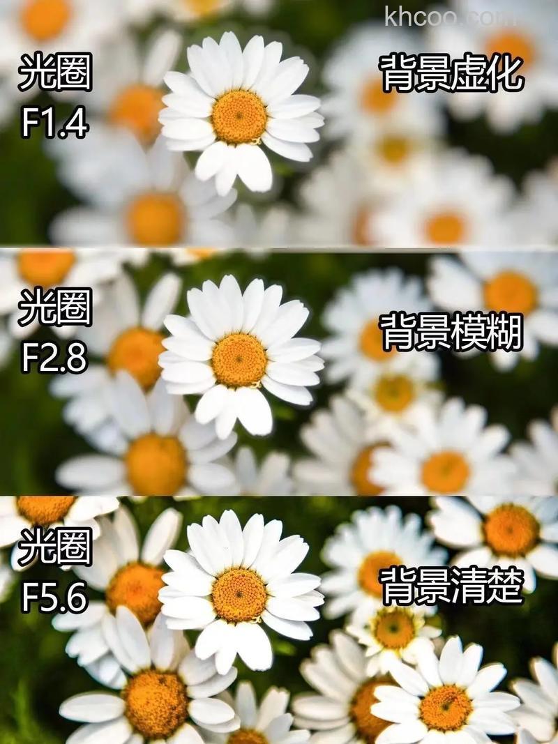 如何拍摄背景虚化的照片 拍摄背景虚化照片方法【详细介绍】