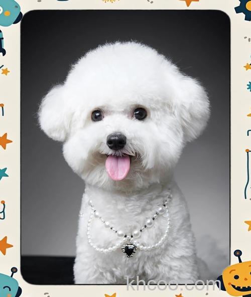 如何用手机拍好宠物照 用手机拍好宠物照技巧【详解】