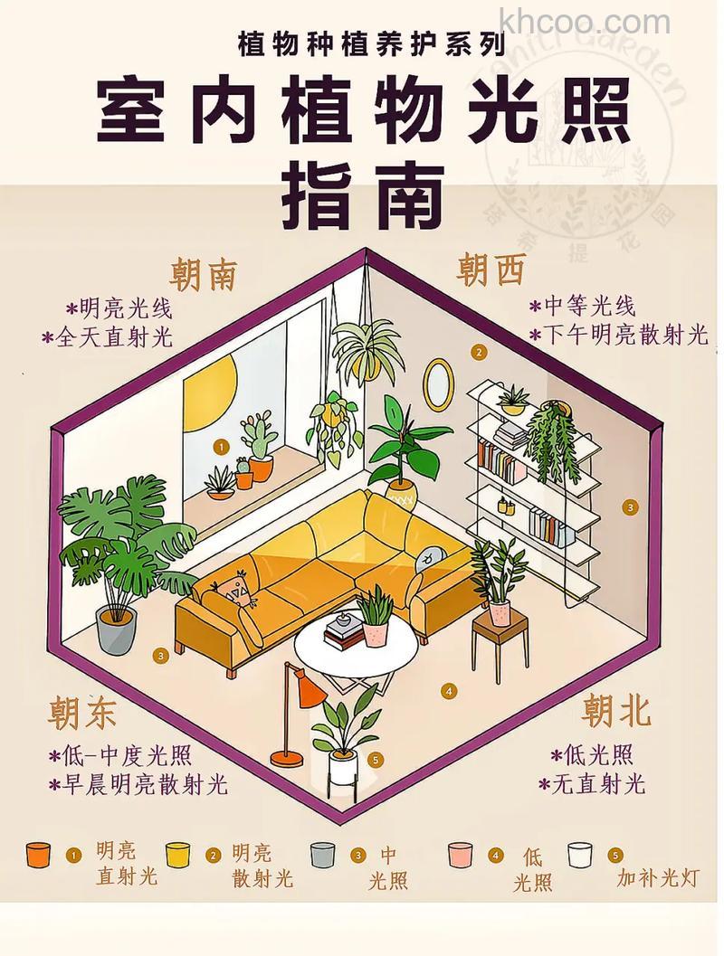 如何正确采光 正确采光方法指南