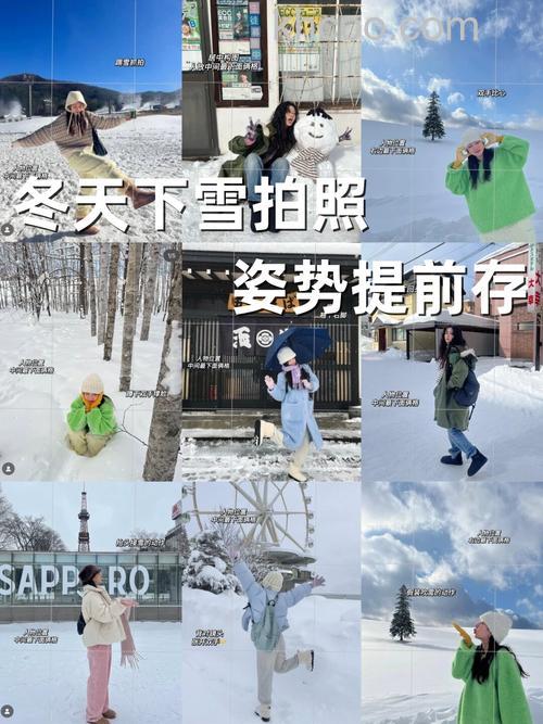如何拍摄飘落的雪花 拍摄飘落雪花技巧