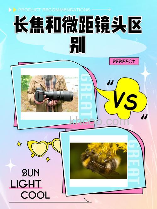 什么是微距镜头 微距镜头与普通镜头的区别是什么【详解】