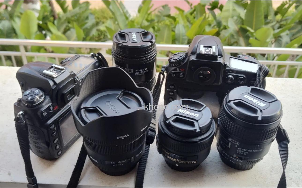 尼康d800配什么镜头好 尼康d800搭配镜头推荐