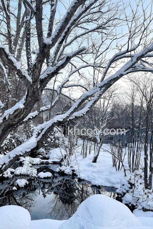 拍摄冬日雪景轻便长焦相机推荐 哪款相机拍摄冬日雪景