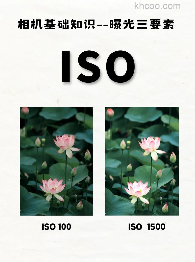 如何设置ISO 善用高感光度的摄影技巧【详细介绍】