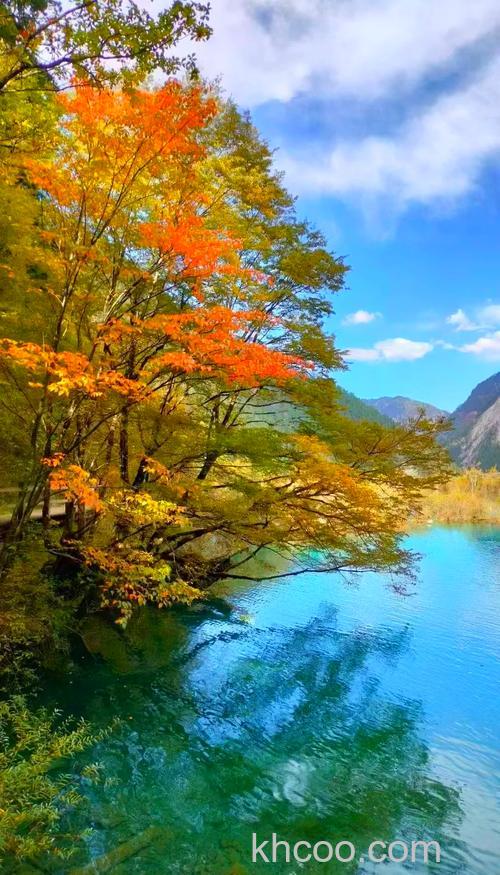 如何拍好秋天风景