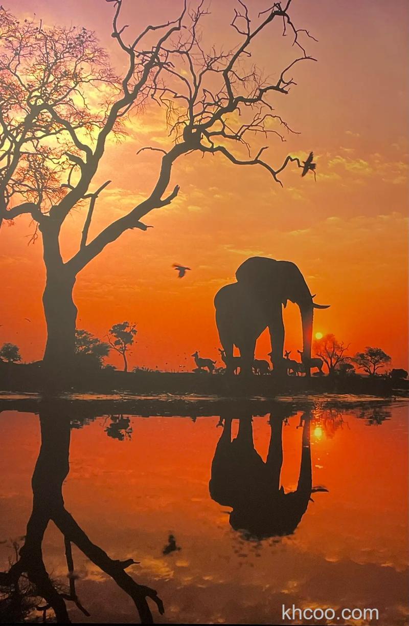 最值得尝试拍摄题材有哪些