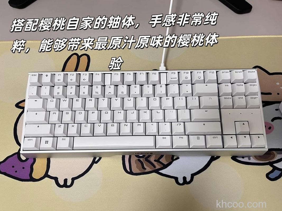 樱桃MX Board5.0机械键盘怎样 樱桃MX Board5.0键盘介绍