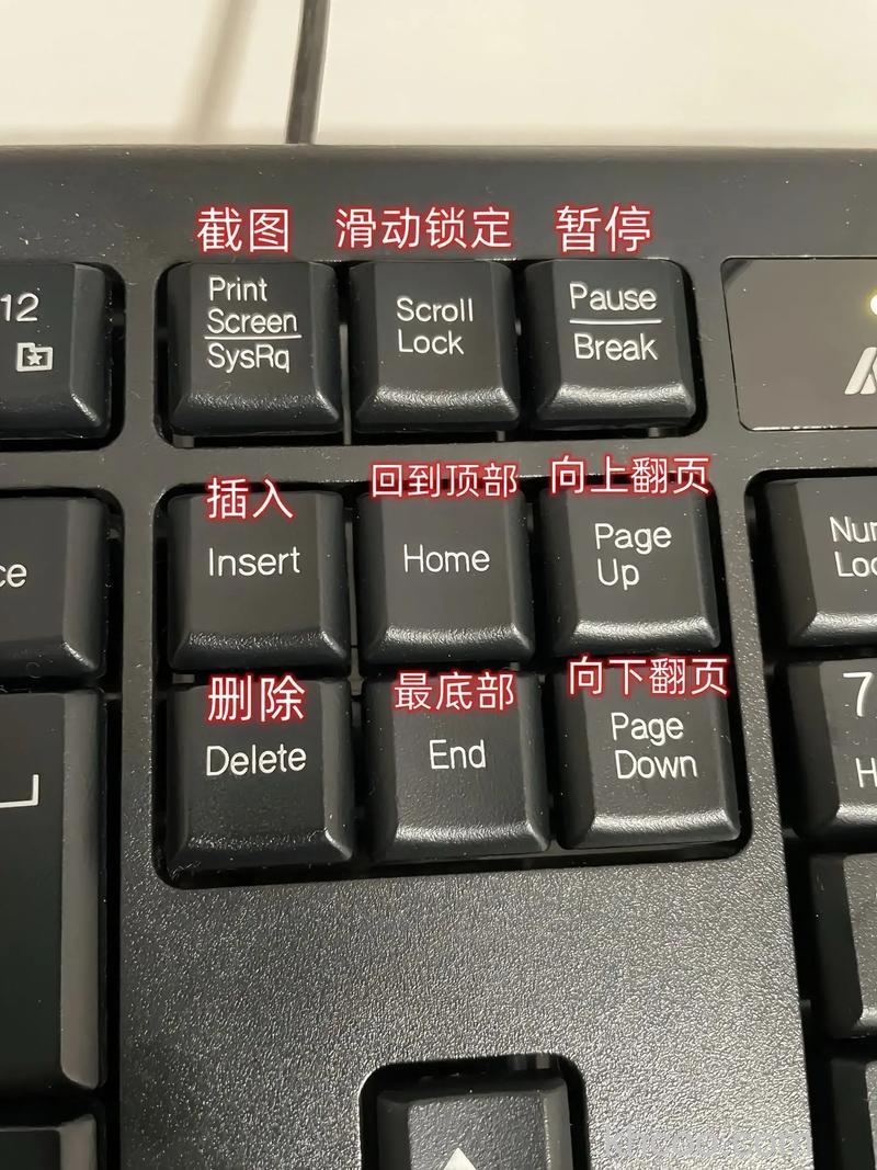 电脑键盘按键失灵怎么办 电脑键盘按键失灵解决办法【详解】