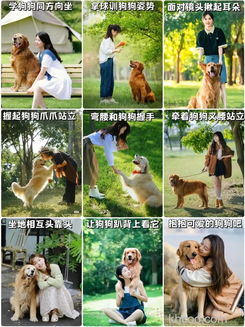 宠物摄影有什么小技巧