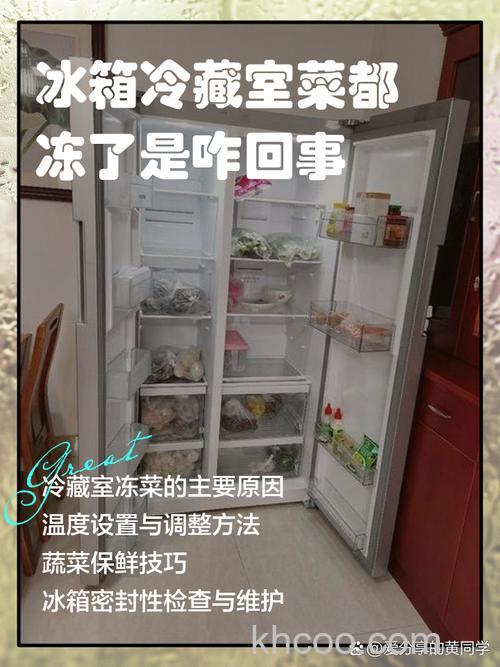 冰箱冷藏把菜冻坏了怎么回事 冰箱冷藏把菜冻坏了的原因及解决方法【详解】