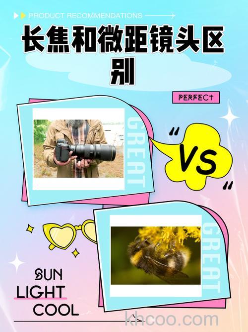 微距镜头和普通镜头区别是什么【详细介绍】