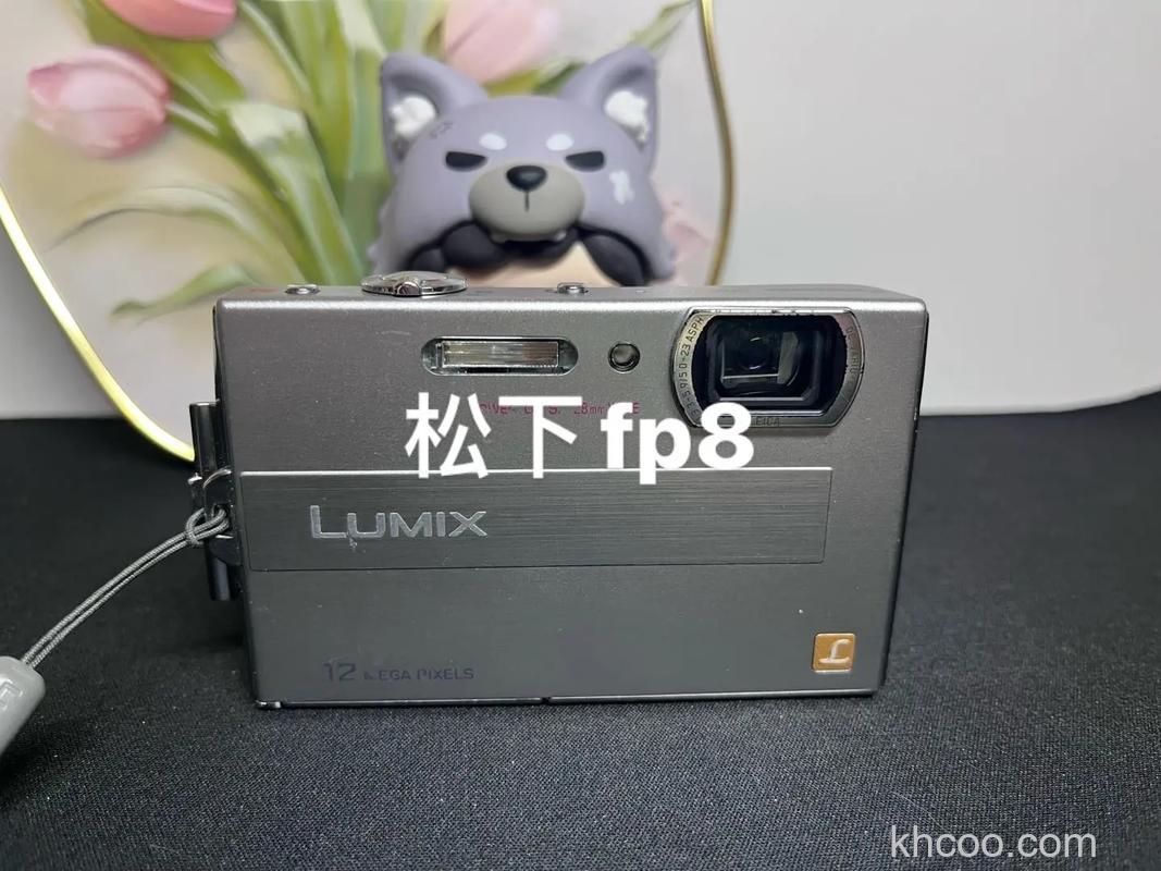 松下fp8怎么样 松下fp8的性能测评