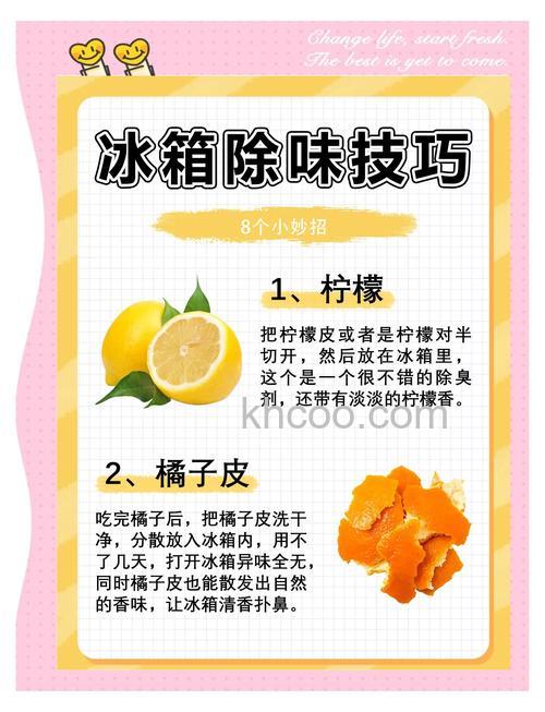 冷冻冰箱怎么去味儿 冷冻冰箱去味儿方法【详解】