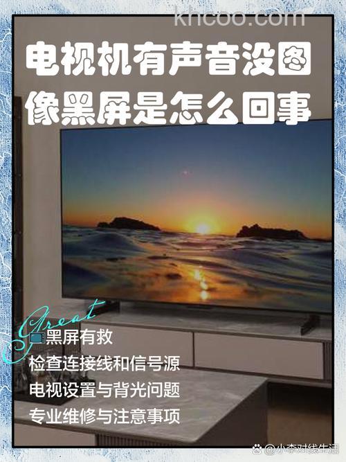 东芝液晶电视有声音没图像是怎么办 东芝液晶电视黑屏原因介绍 【详解】