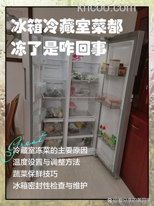 美的冰箱把蔬菜冻坏是什么原因 美的冰箱把蔬菜冻坏原因分析【详解】