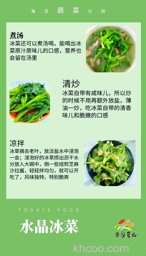 冰箱里冻菜对身体好吗 冰箱里冻菜是否含有有害物质【详解】