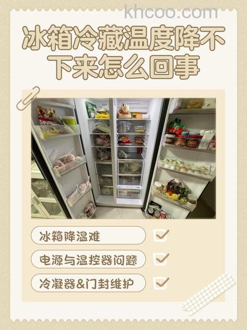 冰箱冷藏室的哪一边温度更低【详解】