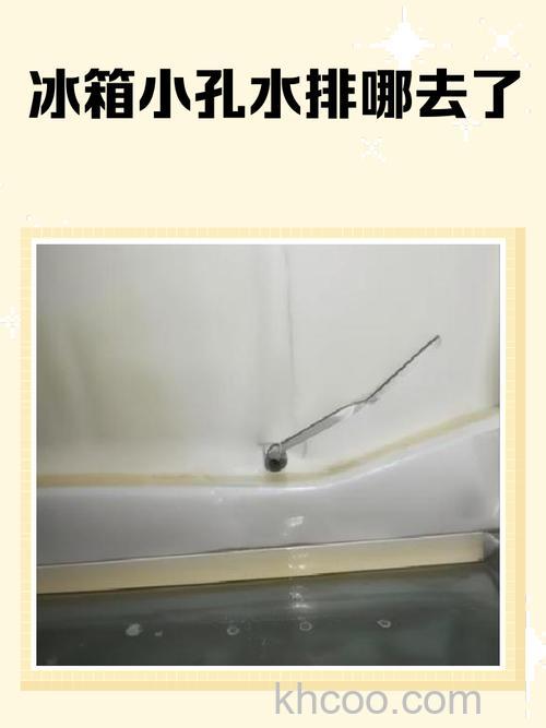 冰箱后面的排水孔水排到哪里去了 冰箱后面的排水孔问题原因【详解】