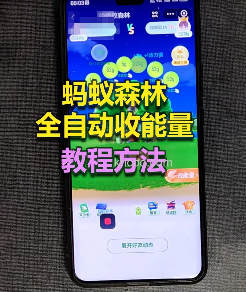 支付宝蚂蚁森林怎么防止好友偷蚂蚁森林能量【详细步骤】