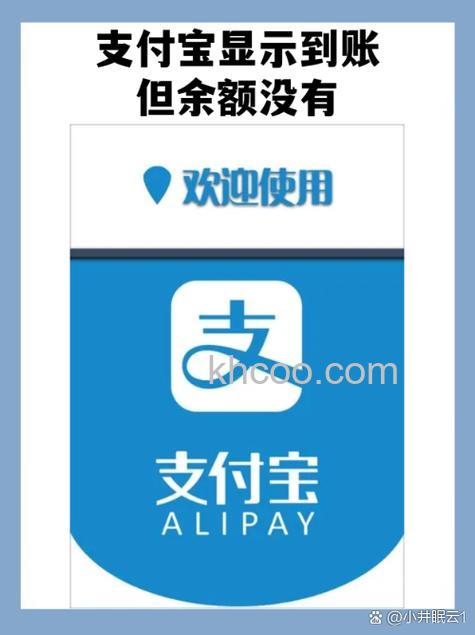 为什么支付宝龙卡有钱，但在支付宝账户里至今未显示