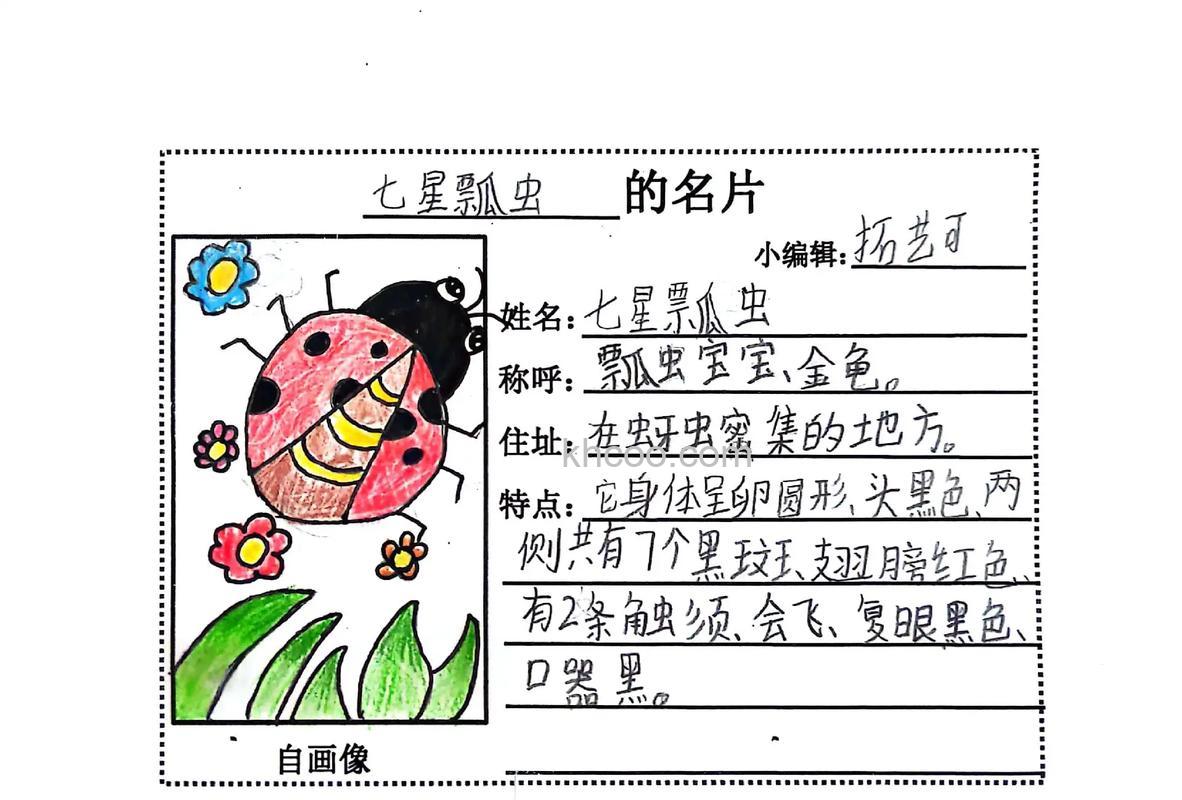 百科名片是什么