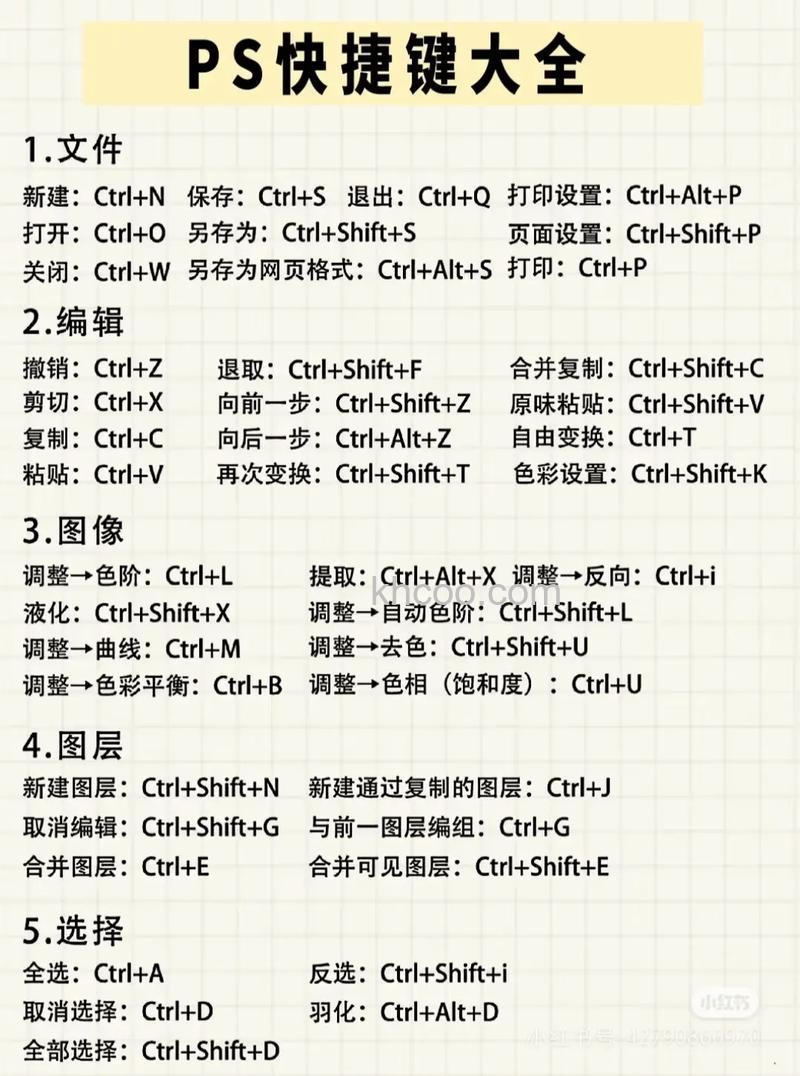 PS复制快捷键ctrl加什么 PS复制快捷键用不了怎么办【详解】