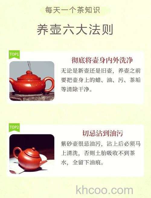 养生壶怎么样 养生壶功效分析【详细介绍】