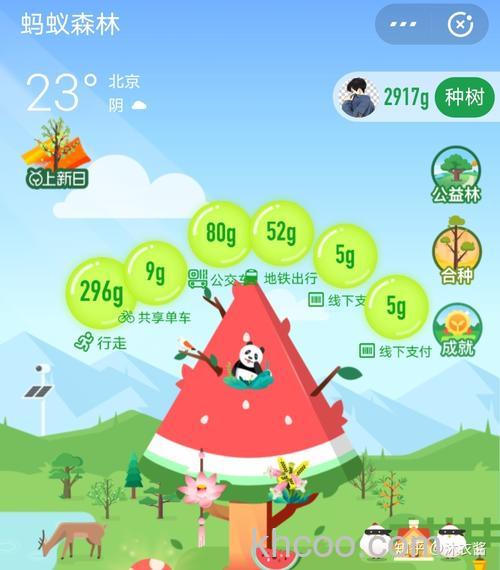 支付宝app怎么参加蚂蚁森林活动 支付宝app参加蚂蚁森林活动方法【详解】