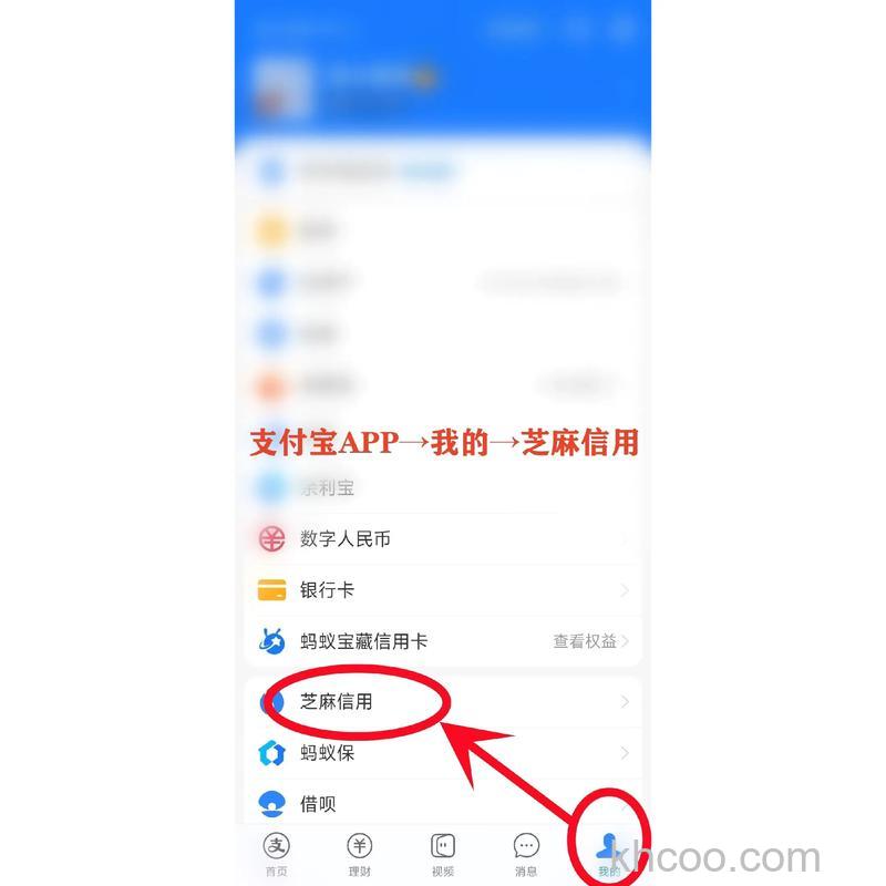 支付宝怎么管理芝麻信用分授权 支付宝管理芝麻信用分授权方法【教程】