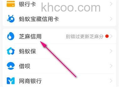 支付宝芝麻粒如何获取 支付宝芝麻粒收集攻略【详解】