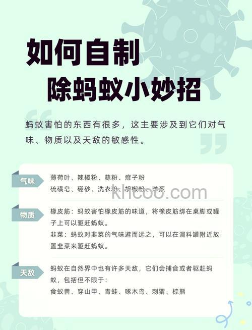 支付宝蚂蚁庄园怎么防止偷吃 蚂蚁庄园防蹭饭方法【详解】