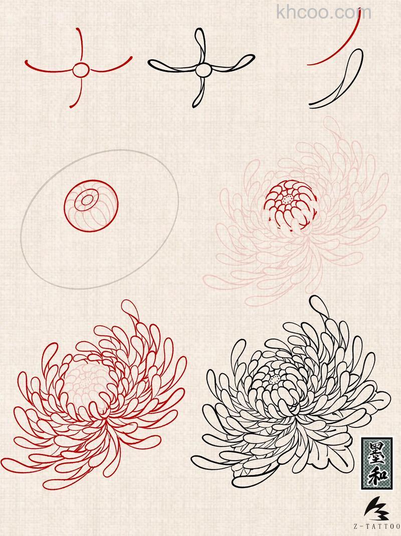 怎么利用ps绘制菊花 ps绘制菊花的方法