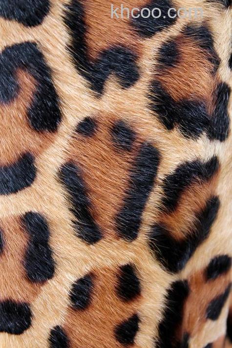 ps滤镜怎么制作逼真的豹皮纹理