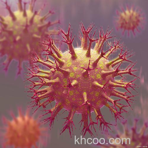 罗姆病毒是什么