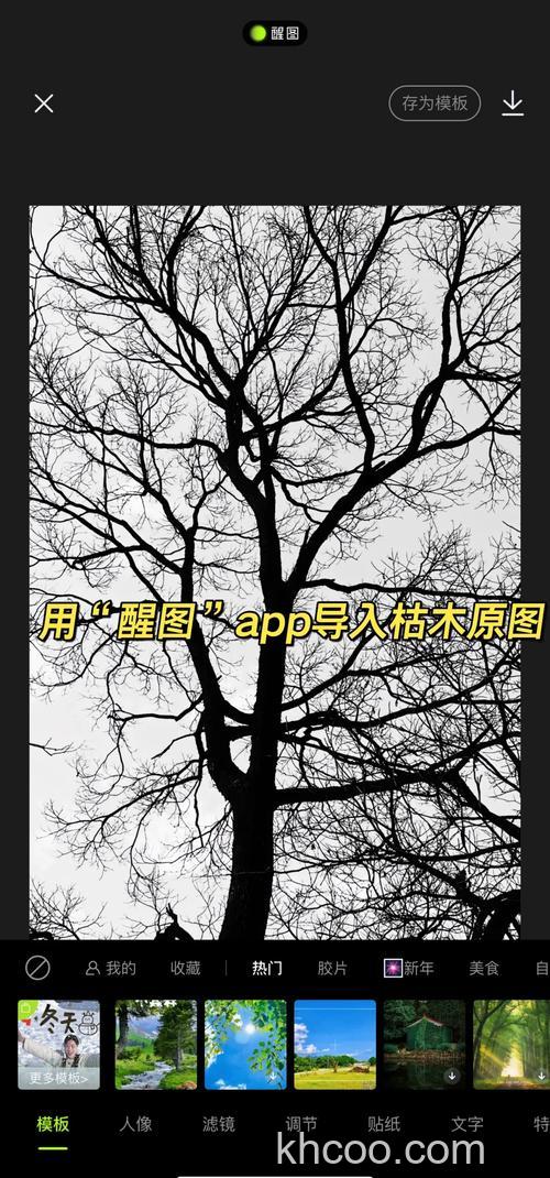 怎么利用Photoshop简单制作森林效果图