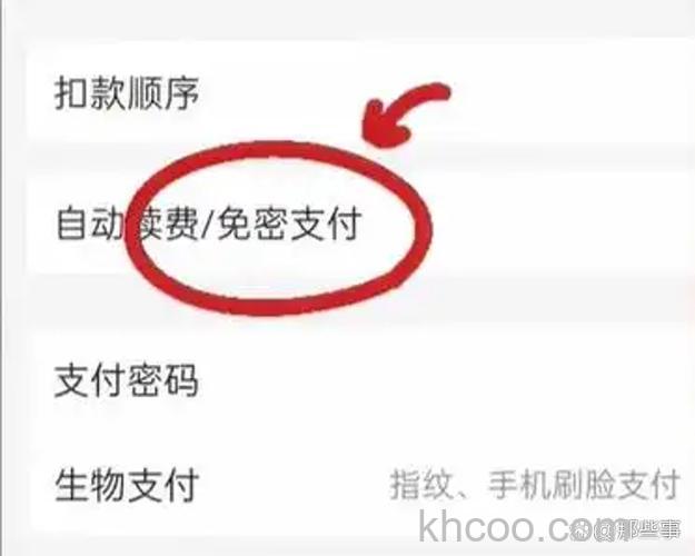 支付宝无线支付子开关-短信支付是什么