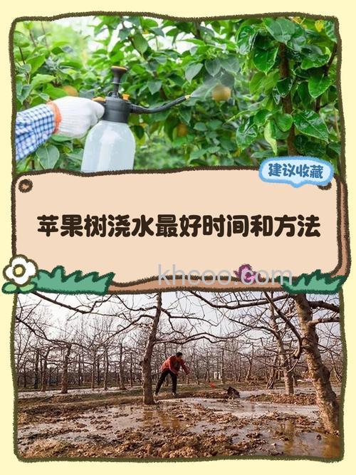 拼多多种果树怎么浇水 拼多多种果树浇水方法【详解】