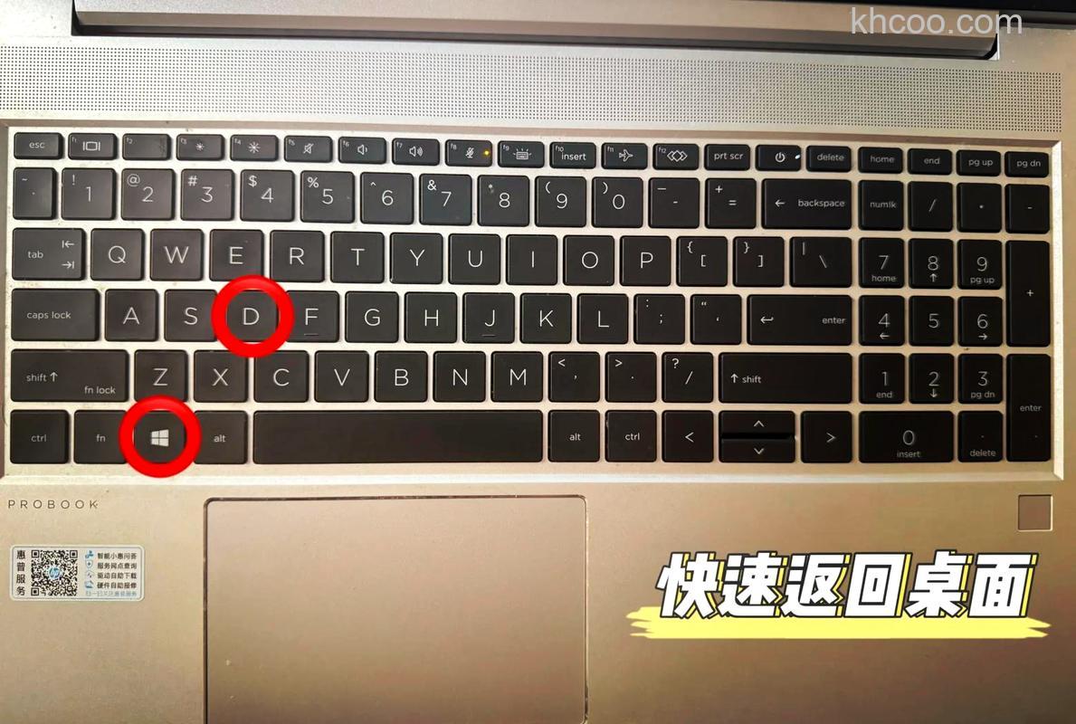 win11切屏怎么切不了 win11切屏切不了解决方法【详解】