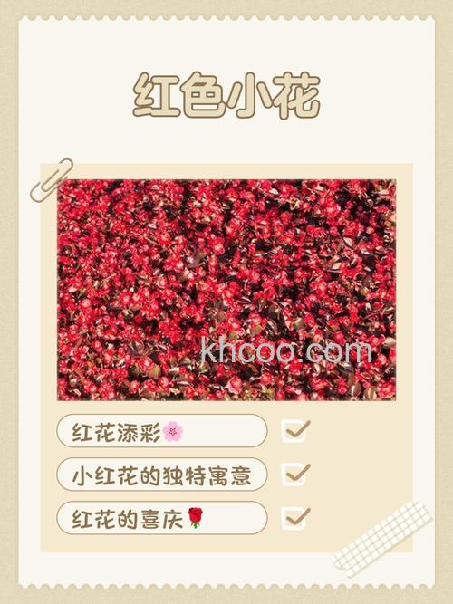 微信小红花怎么用 微信小红花使用方法【详解】