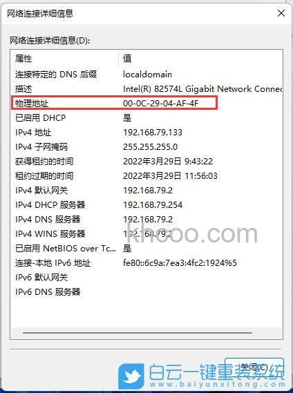 win11mac地址怎么查 win11mac地址查看方法【详解】