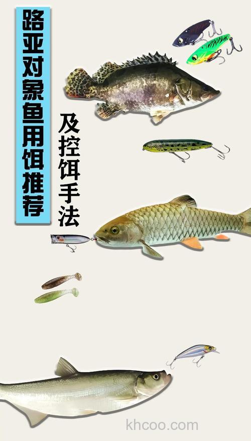 鱼饵料怎么钓鱼