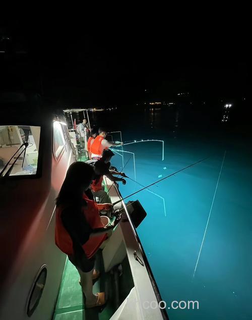夜间海钓：避开白日酷热人群，捕获大型活跃鱼类的独特体验