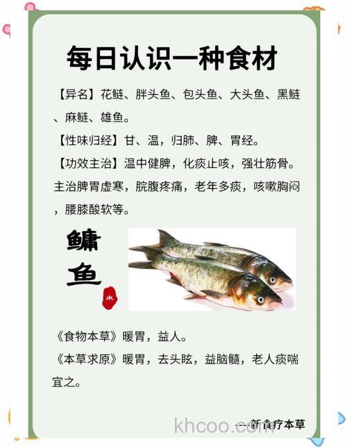 大鱼哥鲢鳙配方？