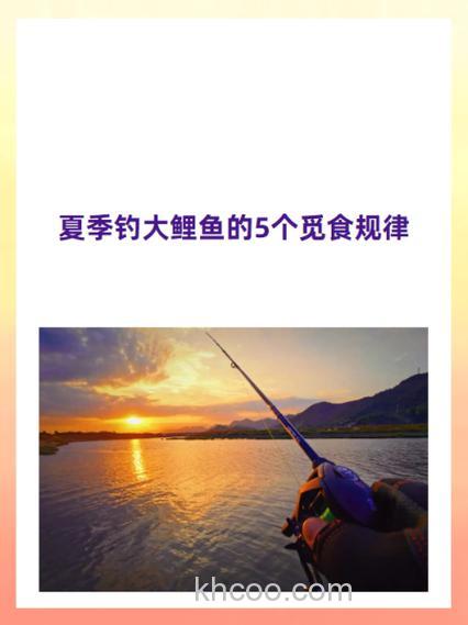夏季钓大鲤鱼的5个觅食规律