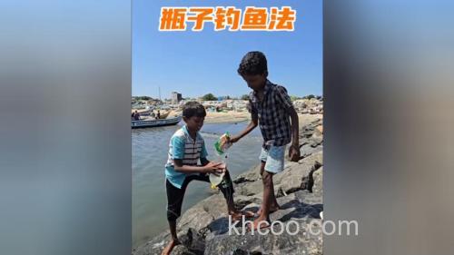 面粉钓鱼能钓淡水鱼吗？