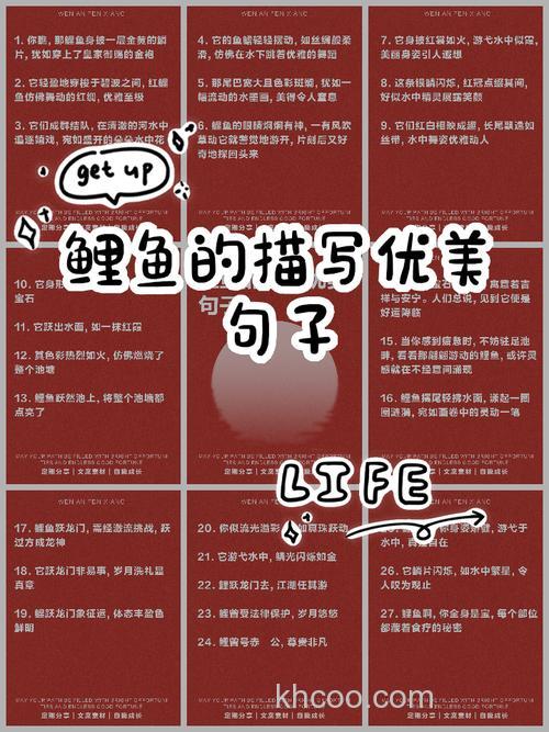 鲤鱼的描写优美段落