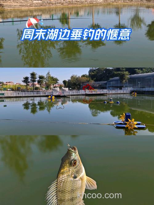 户外池塘野钓乐趣多，掌握选位技巧，收获满满喜悦